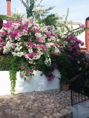 flowers.jpg