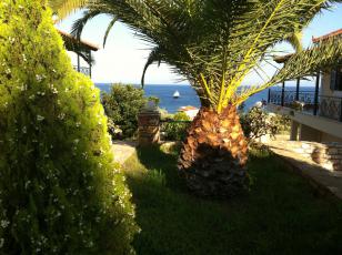 img_0624_-_compressed.jpg